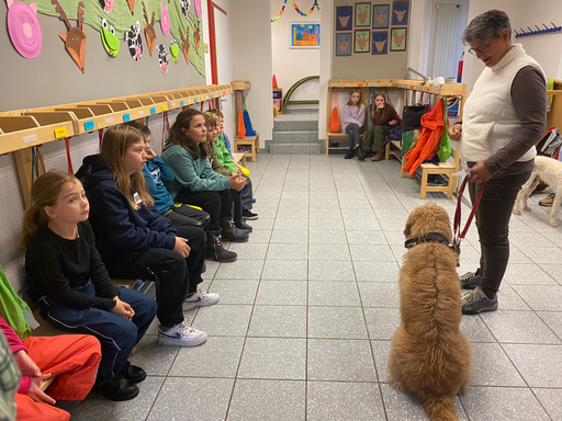 Wie begegne ich einem Hund?